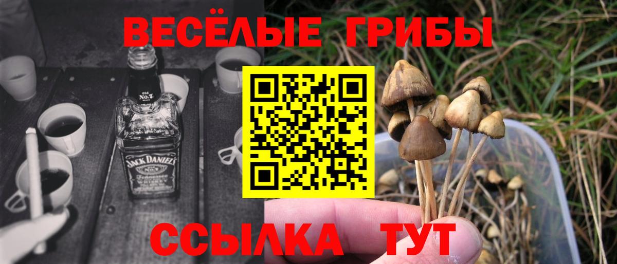 Галлюциногенные грибы Magic Shrooms Ревда